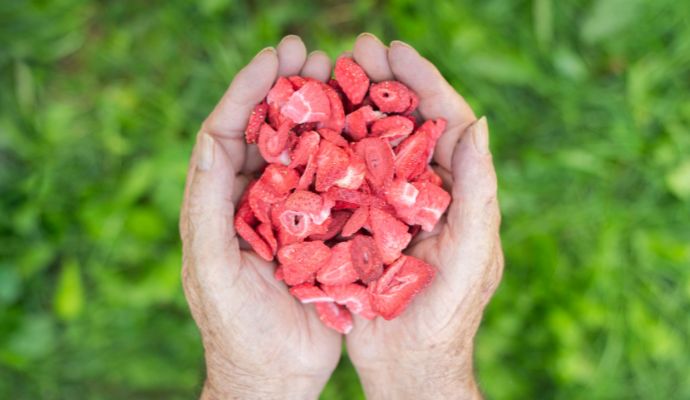 fragole liofilizzate